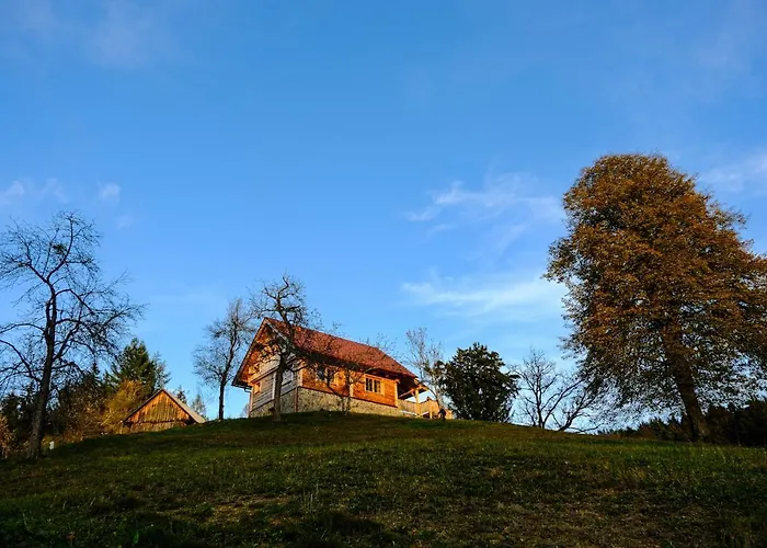 Cottage Golenovo Podvelka photo