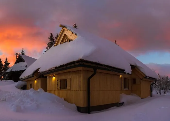 Koca Zafran - Velika Planina Villa Stahovica photo