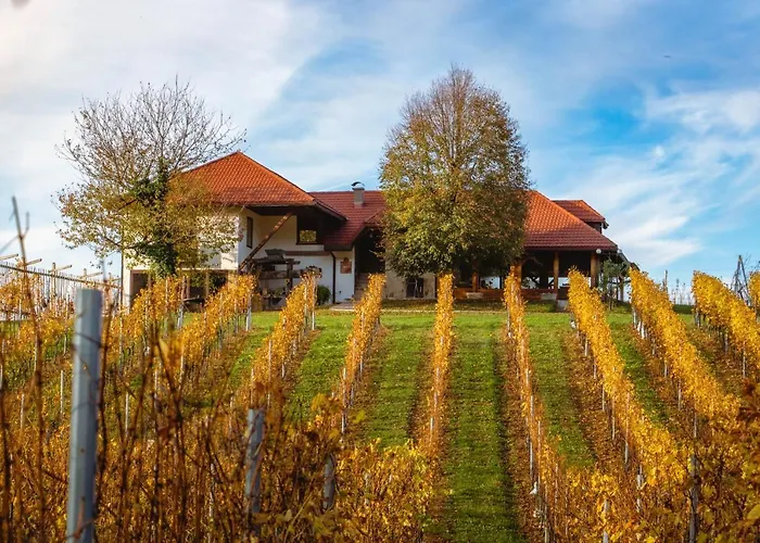 Apartments Pit Zdole Kozje fotorgafie