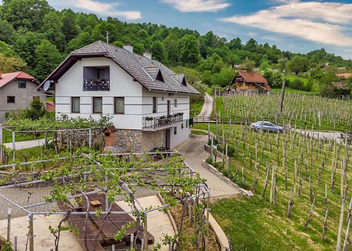 foto di Vineyard Homestead Vrtin - Happy Rentals Dragatuš