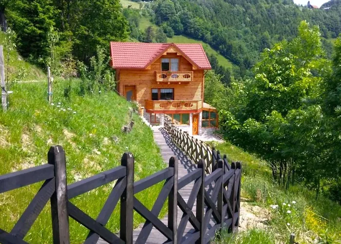 Pool & Wellness Chalet Sunshine - Happy Rentals Vransko photo