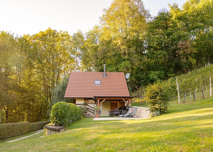 Holiday Home Emaj With Sauna Krska Vas photo
