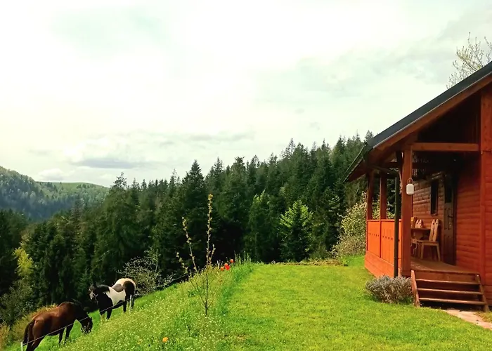 Tiny House Villa Ziri photo
