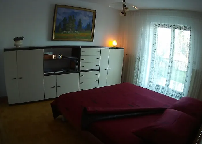 Green Point Preserjeの写真