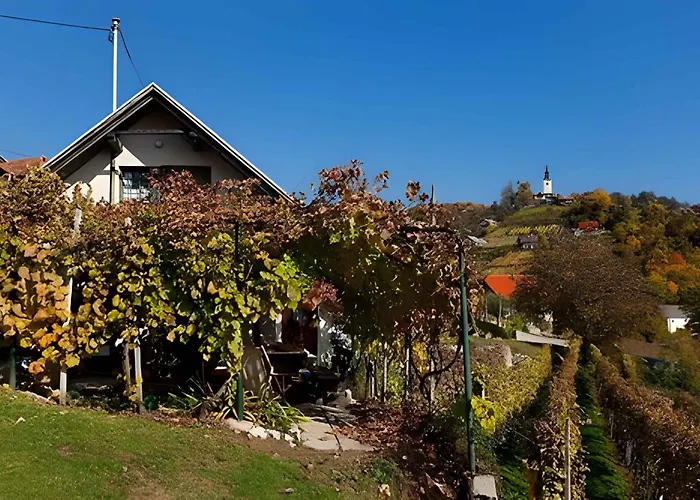 Studio In Novo Mesto - Dostava - Kranjska Krain 26035 Mackovec pod Trsko Goro photo