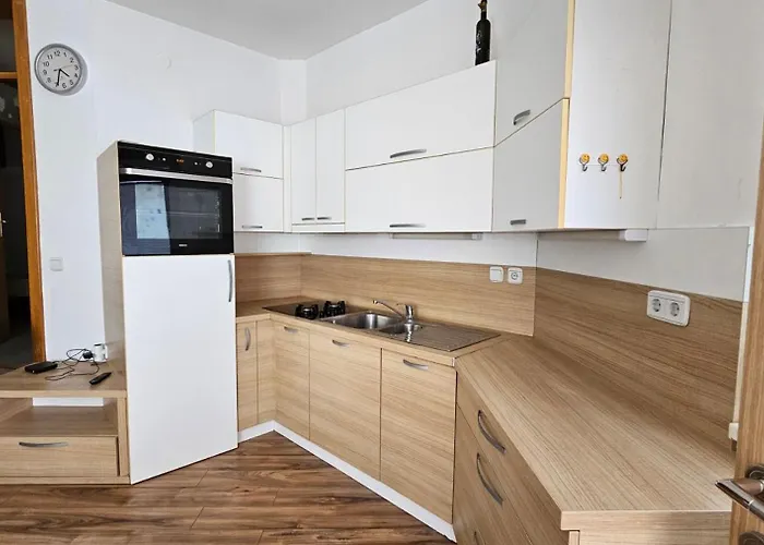 Фото Puci Apartment Smarje-Sap