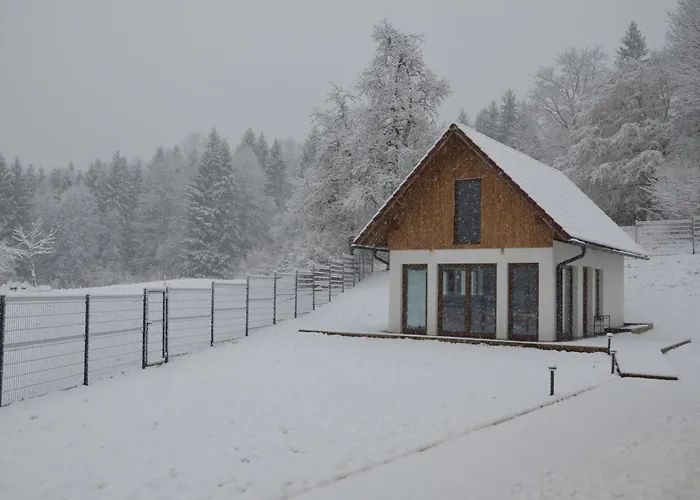 Villa Kozler Estate Kocevska Reka foto