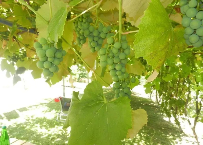 صورة Holiday Home Urlaub Fuer Die Seele - Ferienhaus Mit Sauna By Interhome Rucmanci