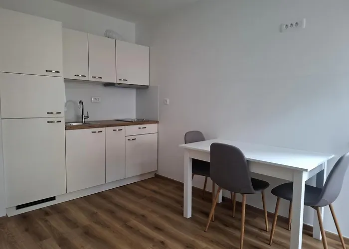 Cosy Central Apartment Litija fotoğrafı