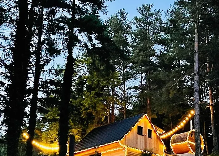 Secluded Romantic Cabin - Hot Tub & Barrel Sauna Temenica photo