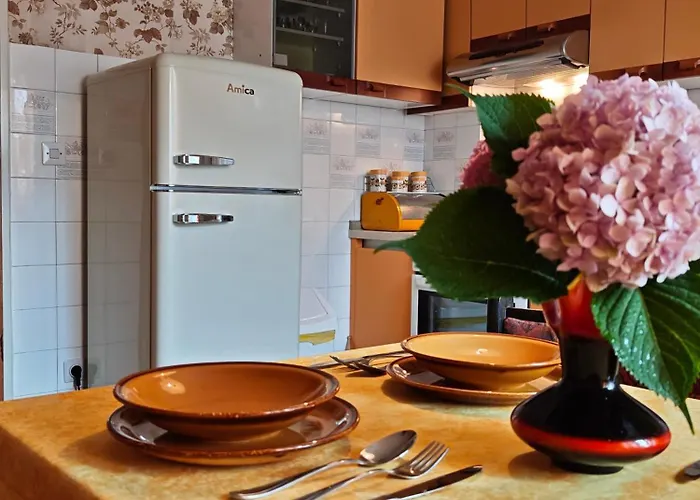 Vintage Apartment Erjavec Zirovnica photo