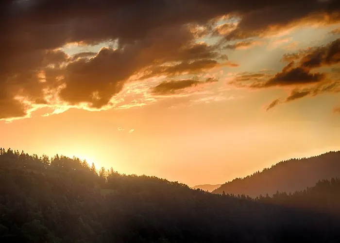 Gostilna Pension Blegos Poljane nad Skofjo Loko photo