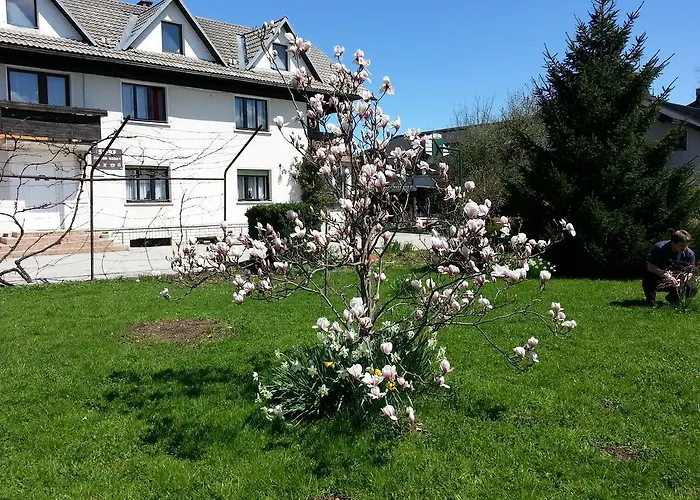 Rooms Cesen Cerklje na Gorenjskem foto