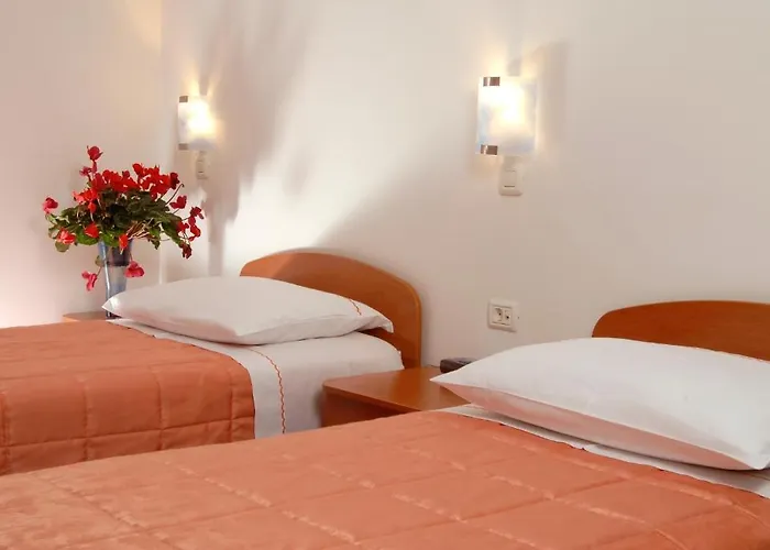 Guesthouse Bajc Vrhnika photo