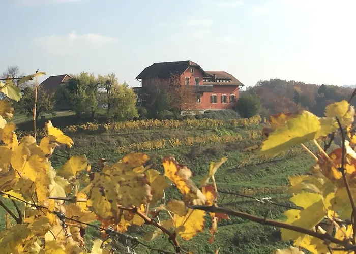 Hisa Vina Villa Podlehnik photo
