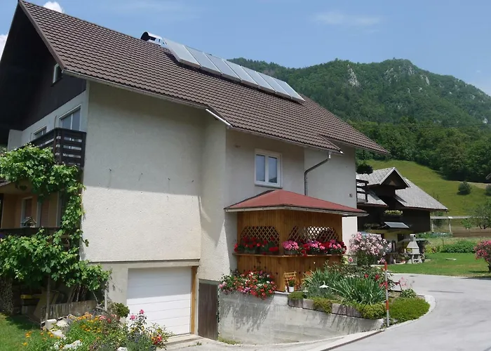 Apartments - Glamping Encijan Begunje na Gorenjskem photo